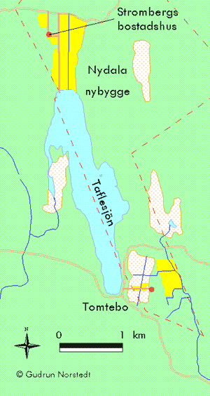 Karta över Strombergs nybygge Nydala norr om Nydalasjön.